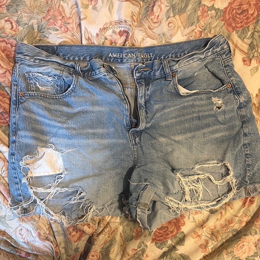American Eagle Outfitters Ripped Denim Shorts